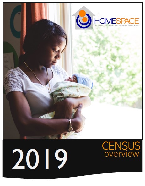 2019 Annual Census